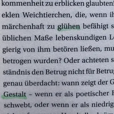 Two words marked with a green highlighter in a German book.